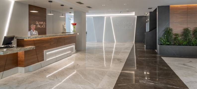 奥林匹斯宫酒店(Hotel Olympus Palace)图片