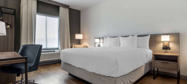 舒适酒店和套房巴拿马城海滩 - 码头公园区(Comfort Inn & Suites Panama City Beach - Pier Park Area)图片