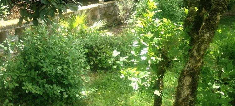 平静之家酒店(Gite du Calme 3 Star Bed & Breakfast Cognac)图片