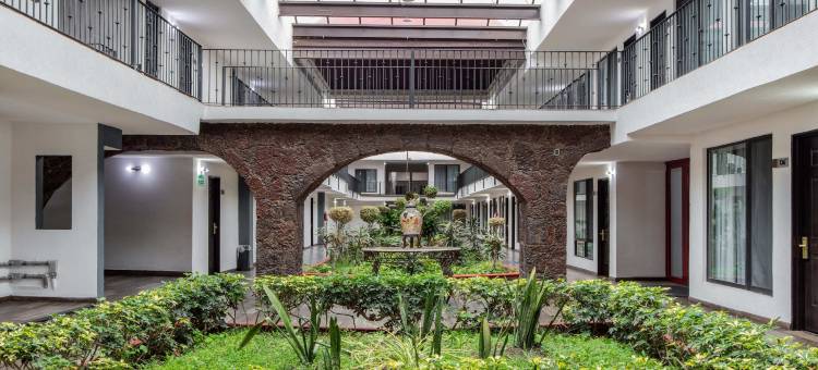 托卢卡丽笙酒店及会议中心(Radisson Hotel Convention Center Toluca)图片