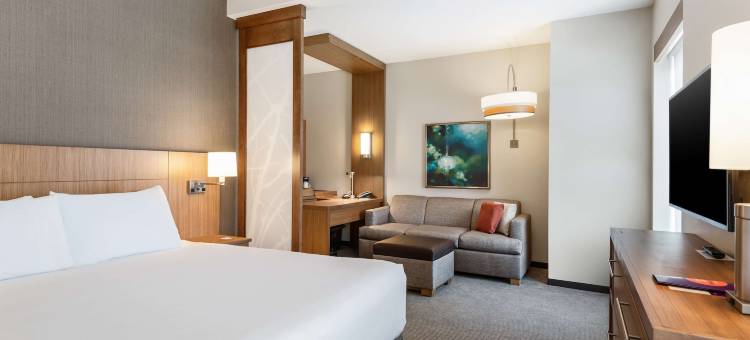 坦帕韦斯利堂凯悦嘉轩酒店(Hyatt Place Tampa/Wesley Chapel)图片