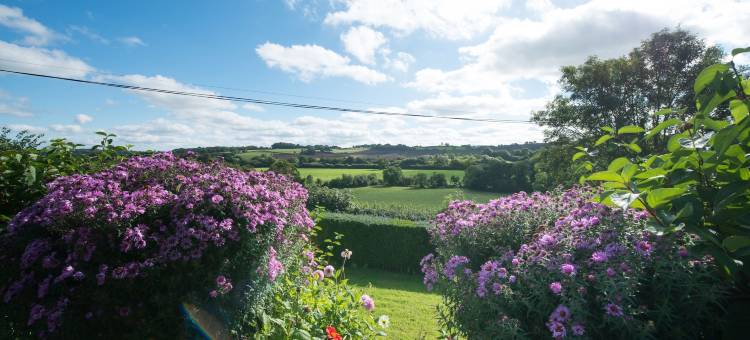旧乳业巴顿主教住宿加早餐旅馆(The Old Dairy at Bishops Barton)图片