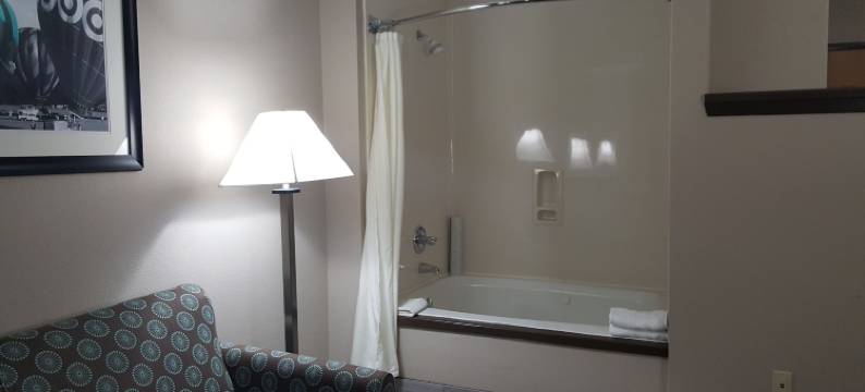 普莱诺贝斯特韦斯特舒尔泰普拉斯酒店(SureStay Plus Hotel by Best Western Plano)图片