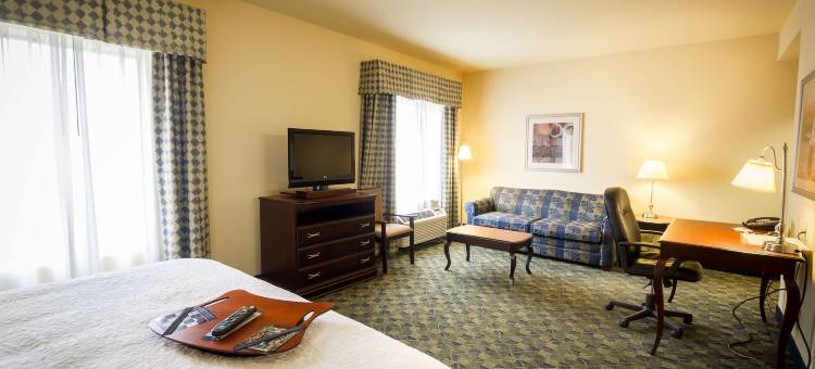 欢朋酒店加纳切兹套房(Hampton Inn & Suites Natchez)图片