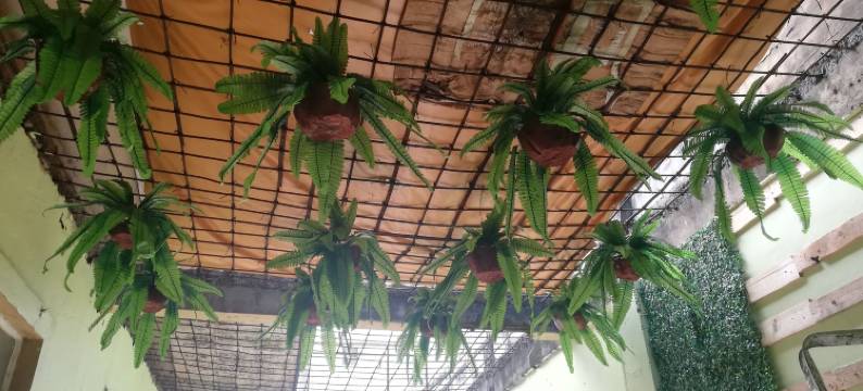 艾米塔多米特兹ph酒店(Dormitels.ph Ermita)图片