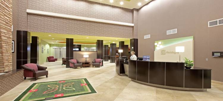 Holiday Inn 花环(Holiday Inn Dallas - Garland)图片