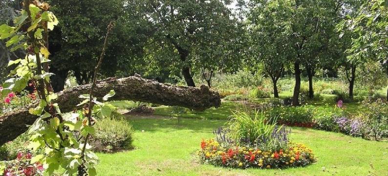 瑟蒙迪雷民宿(La Semondière)图片