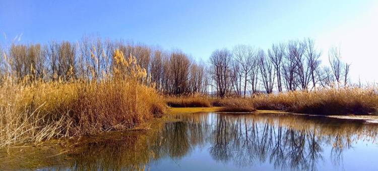 阿斯蒙雷亚尔坎波酒店(As Monreal del Campo)图片