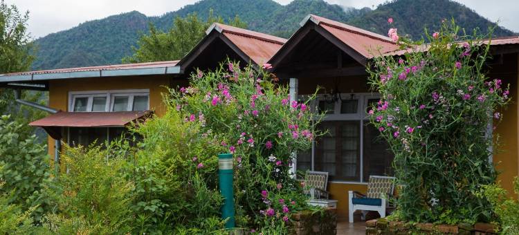 尼姆拉纳斯-拉姆格尔平房(Neemrana's - Ramgarh Bungalows)图片