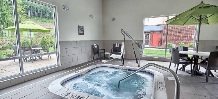 马利耶塔派克斯伯格市舒适套房酒店(Comfort Suites Marietta-Parkersburg)图片