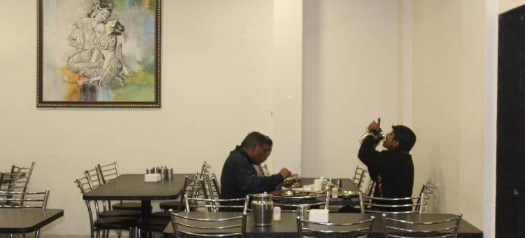 拉迪卡旅馆酒店(Hotel Radhika Inn)图片