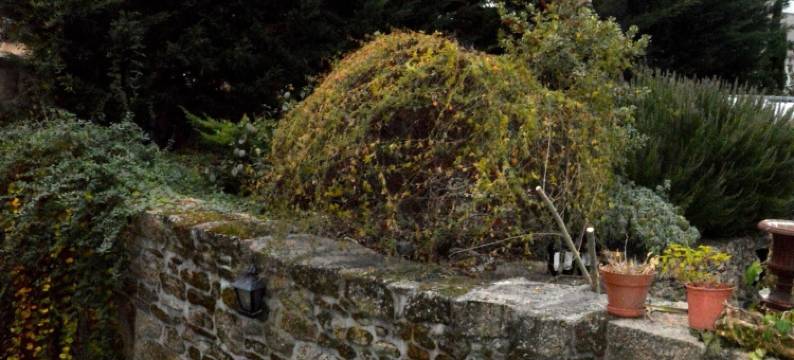 橄榄庄园(Quinta do Olival)图片