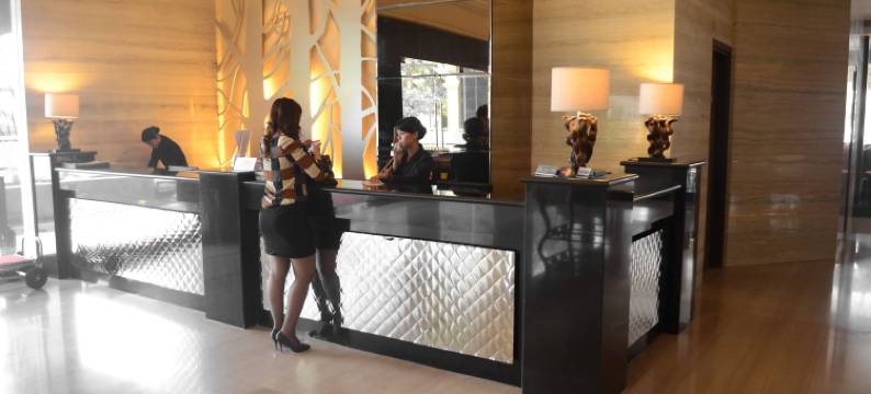 奥克萨娜酒店(The Axana Hotel)图片