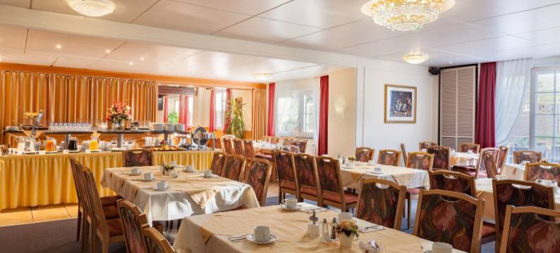 科鲁兹博登湖酒店(Bodensee-Hotel Kreuz)图片