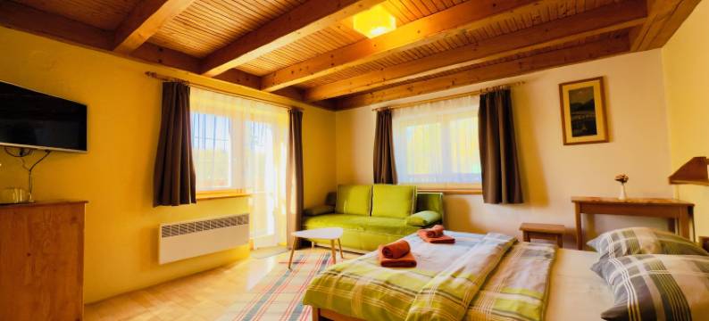 帕兹克宾馆(Penzion Pažický)图片