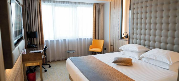 勒姆尼库沃尔恰温德姆华美达酒店(Ramada by Wyndham Ramnicu Valcea)图片