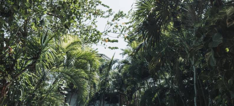 卡萨芭芭拉酒店(Hotel Casa Barbara Holbox)图片