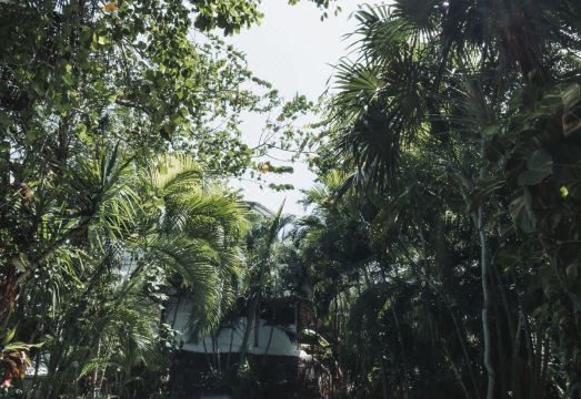 Hotel Casa Barbara Holbox Hotel Overview