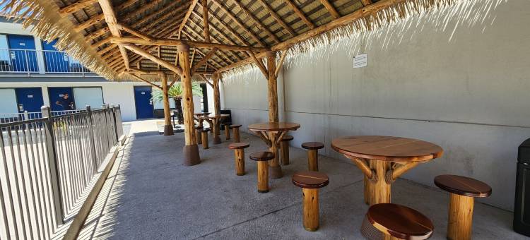 Studio 6 阿尔文，TX(Studio 6 Alvin, TX)图片