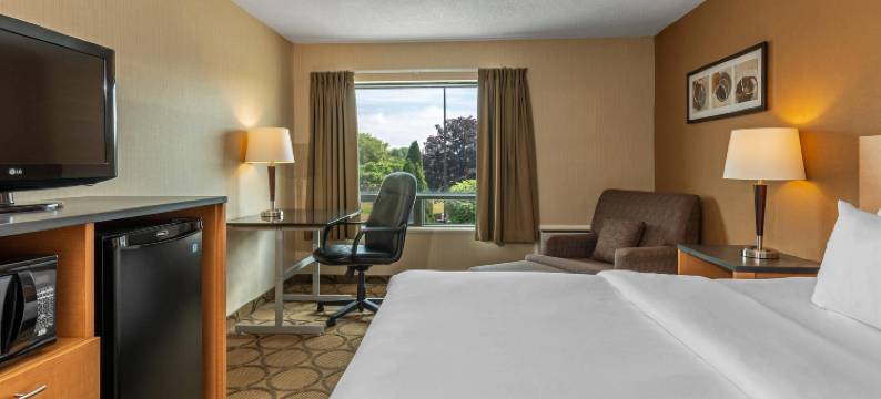 西埃德蒙顿舒适酒店(Comfort Inn West)图片