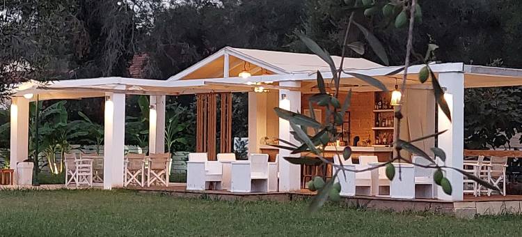 艾米莉亚的花园(Amelia's Garden)图片