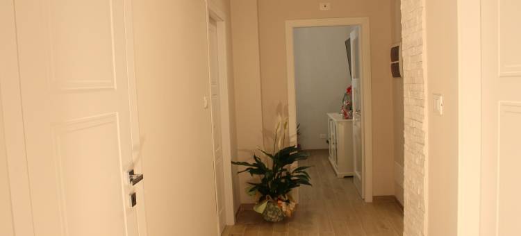 极光BnB(Aurora Bnb)图片