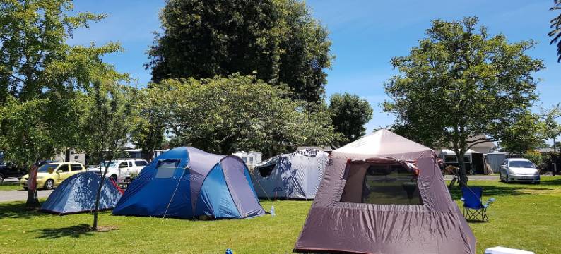 列文十大度假公园(Levin Top 10 Holiday Park)图片