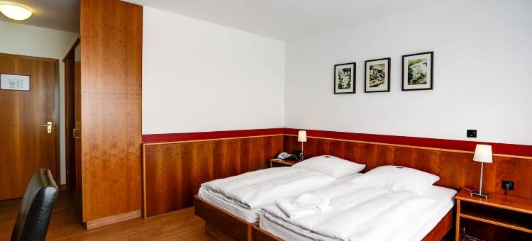 克莱沃阿克曾城市酒店(Akzent City-Hotel Kleve)图片