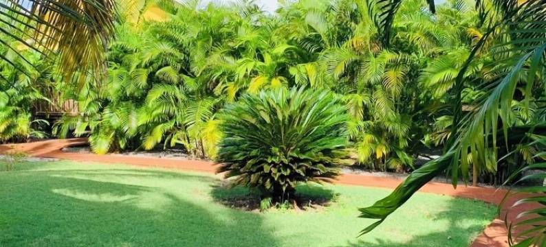 圣弗朗索瓦庄园(Domaine Saint-François)图片