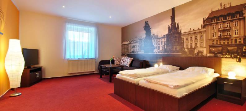 帕拉克酒店(Hotel Palác)图片