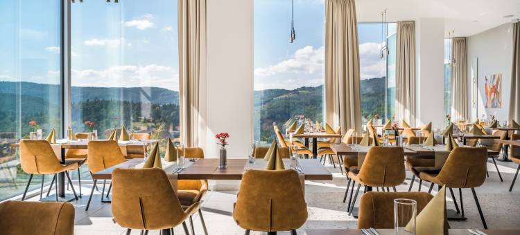 水晶山酒店(Hotel Crystal Mountain)图片