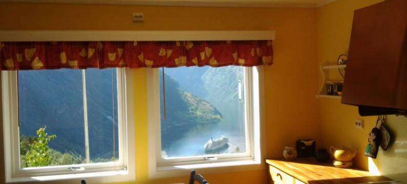 伦海姆旅馆(Lunheim in Geiranger)图片