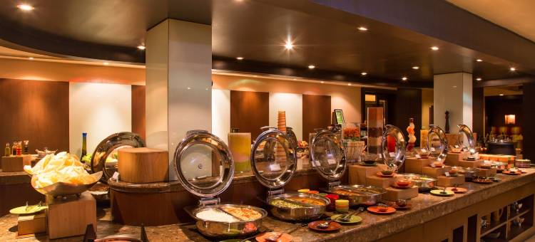 加奇保利艾拉亚酒店(Ellaa Hotel Gachibowli)图片