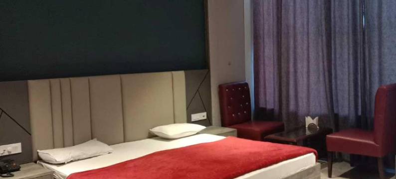 OYO 18943 旁遮普住宅酒店(Hotel O Punjab Residency)图片