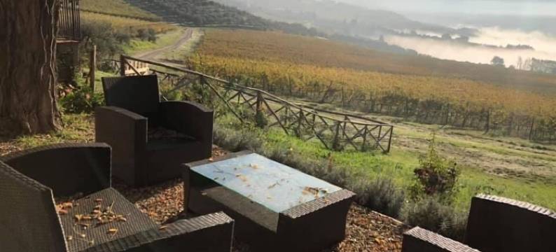 AZIENDA AGRICOLO IL POGGIOLINO图片