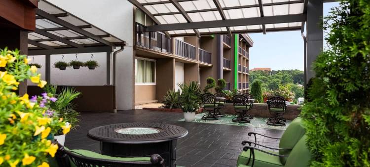 温德姆花园酒店-华盛顿北大路(Wyndham Garden Washington DC Area)图片