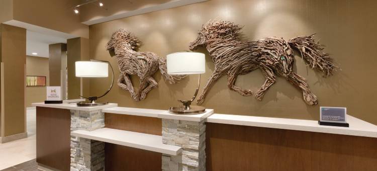 阿克伦广机场希尔顿安泊酒店(Embassy Suites by Hilton Akron Canton Airport)图片