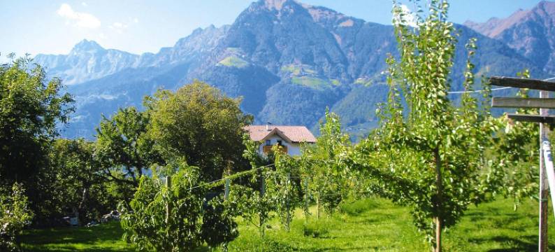 Apartment in Dorf Tirol near Spronser Lakes图片
