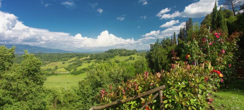 Holiday Home in Tuscany with Pool & BBQ图片