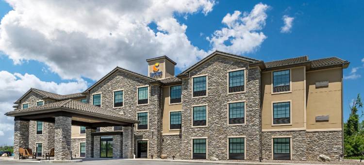 舒适酒店及套房梅迪纳纽约靠近伊利运河(Comfort Inn & Suites Medina NY Near Erie Canal)图片