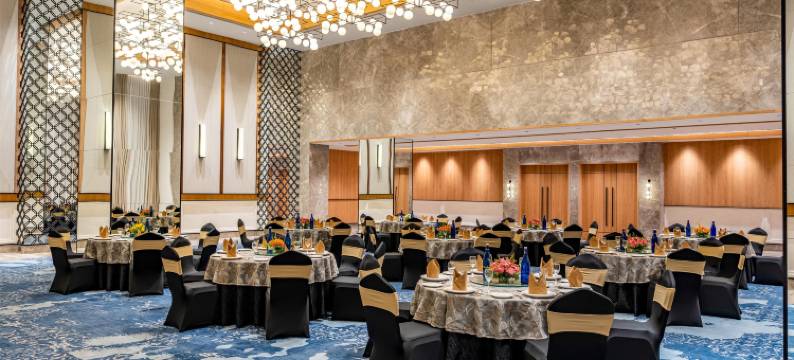 丽笙酒店普拉亚格拉杰(Radisson Hotel Prayagraj)图片