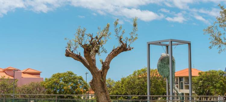 GuestReady - Retiro relaxante no Funchal图片