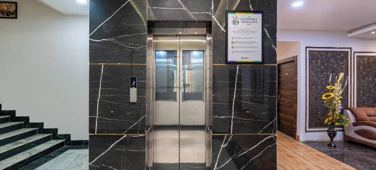 Treebo 绿橄榄(Treebo Green Olive)图片