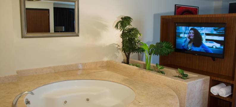 Holiday Inn 墨西哥城贸易城的中心(Holiday Inn CIUDAD DE MEXICO-TRADE CENTER by IHG)图片