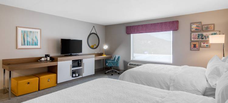 鲁伊多索多恩斯欢朋套房酒店(Hampton Inn and Suites by Hilton Ruidoso)图片