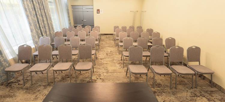 苏恰瓦大陆酒店(MyContinental Suceava)图片