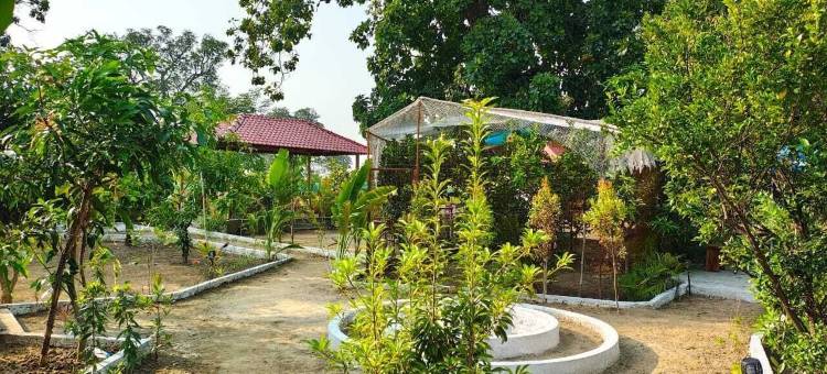 Shivansh 农业旅游和家庭寄宿(Shivansh Agro Tourism And Home stay)图片