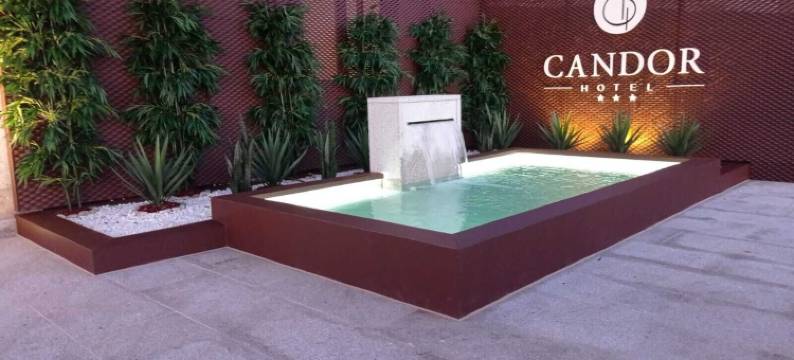 坎多酒店(Hotel Candor)图片