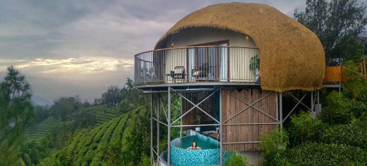 蒙蒂克露营地(Monticle Glamp)图片