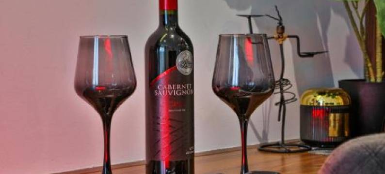 Zoned MASLAČAK Lux - Spa & Wellness Kopaonik图片